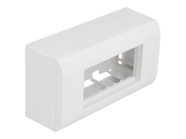 Delock - Easy 45 - flatemontert boks - 4 modules - hvit, RAL 9003