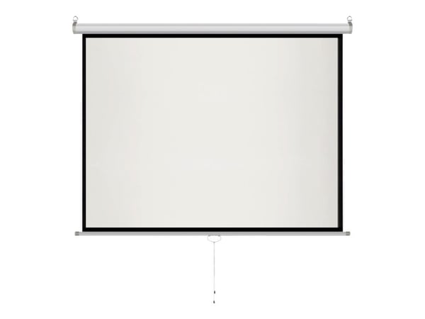 ART MS-100 - Projektorduk - takmontering, väggmontering - 100" (254 cm) - 4:3 - Matte White
