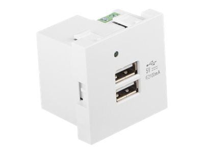 Lanberg - Eluttag - USB - 2 USB-uttag - 2.1 A - vit