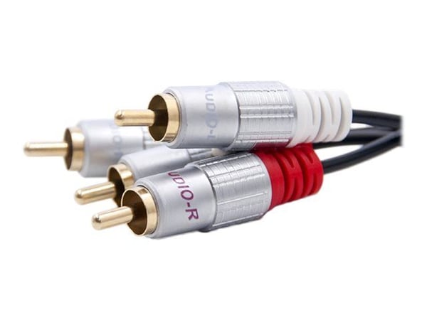 Qoltec - Lydkabel - RCA x 2 hann til RCA x 2 hann - 50 cm - svart
