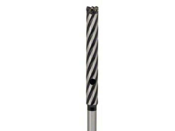Bosch ARMERING BOR SDS-PLUS Ø16X150/300MM