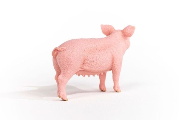 Schleich gris