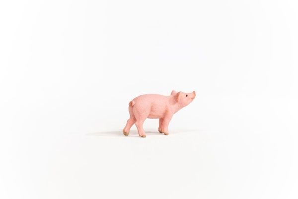 Schleich Piglet