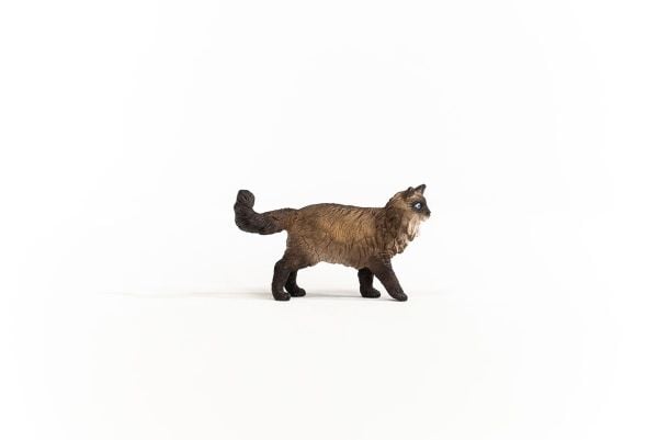 Schleich Ragdoll Cat