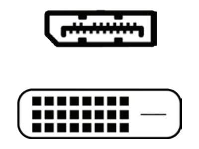 Fujitsu - DisplayPort-kabel - DisplayPort (hann) til DVI (hunn) - 40 cm - svart - for Celsius J550; ESPRIMO D7010, D7011, D9010, D9011, G9010, P558...