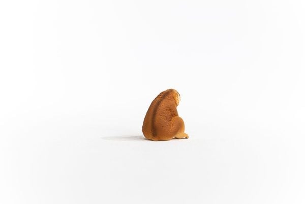 Schleich Slow Loris