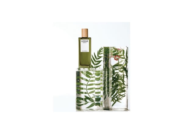 Loewe Esencia pour Homme spray 100,00 ml