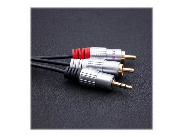 Qoltec - Ljudkabel - RCA x 2 hane till mini-phone stereo 3.5 mm hane - 2 m - svart