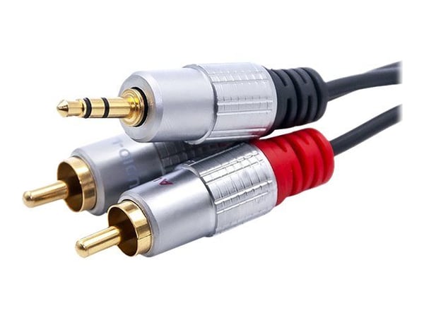 Qoltec - Ljudkabel - RCA x 2 hane till mini-phone stereo 3.5 mm hane - 2 m - svart
