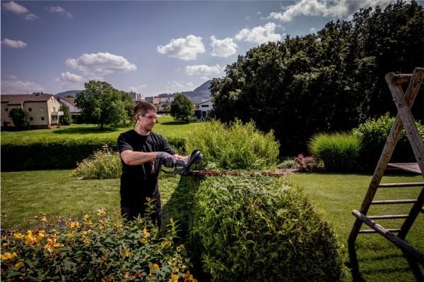 Metabo HS 18 LTX 55 - - trådløs