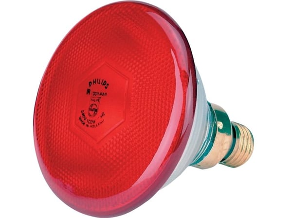 Philips PAR38 IR 175W E27 240V Red 1CT/12, 175 W, E27, 5000 h, Infrapuna, 308 g, 1 kpl