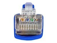 DeLOCK 66809, 0,25 m, Cat6, SF/UTP (S-FTP), RJ-45, RJ-45, Musta, Sininen