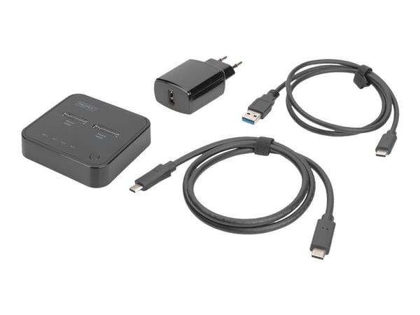 DIGITUS - SSD-dokkestasjon - brønner: 2 - M.2 - M.2 NVMe Card - USB-C 3.2 (Gen 2) - svart