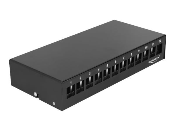 Delock - Blankt Keystone pluggbord - veggmonterbar, DIN-skinnemonterbar - svart - 12 porter