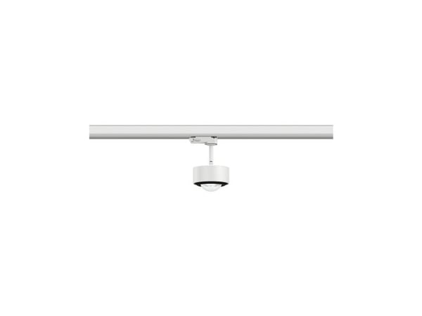 Paulmann Aldan, Spotlight på skinne, 1 ampuller, LED, 8,2 W, 4000 K, Sort, Hvit