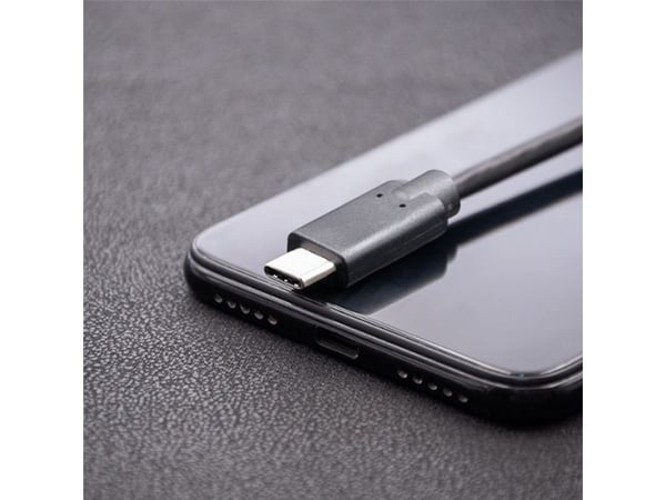 Qoltec - USB-kabel - USB-C (hann) til USB-C (hann) - USB 3.1 - 1 A - 2 m - svart