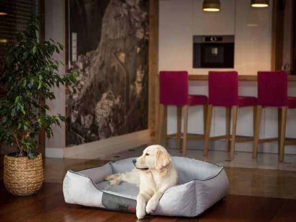 Hobbydog Kongelig liggeplass, grå økologisk, str. XXL