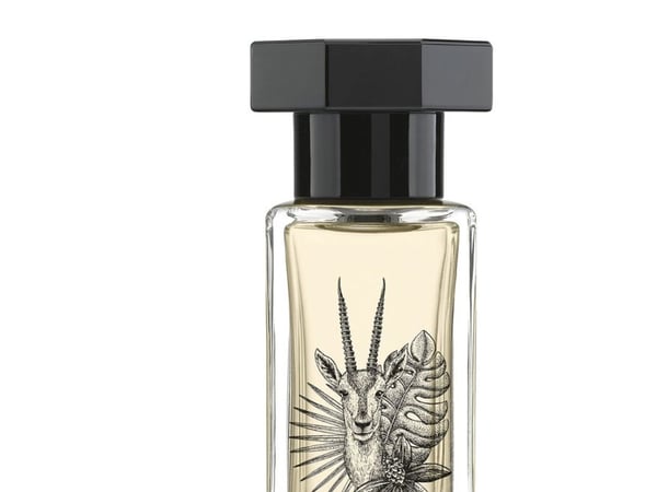 LCDM Saiga Edp Spray - - 50 ml