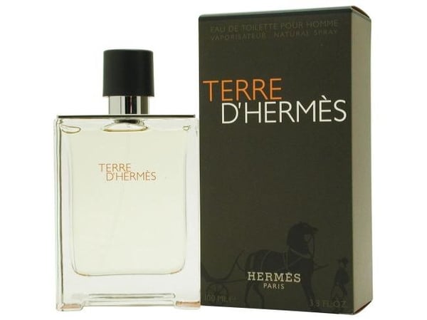 Hermes Terre D'Hermes Edt Spray 100 ml Men