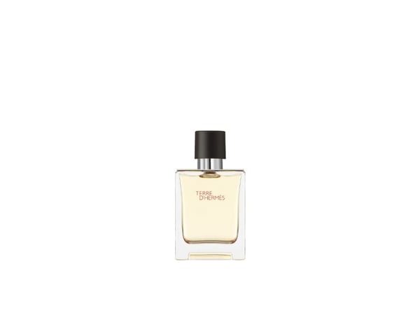 Hermes Terre D'Hermes Edt Spray - Mies - 50 ml