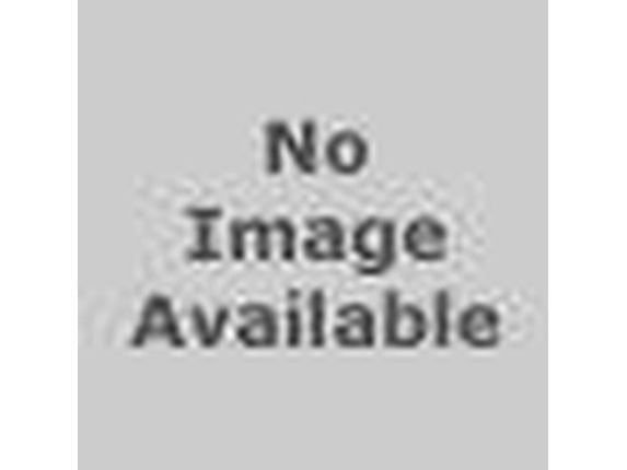 Atkinsons Black Tulip EDP U 100 ml