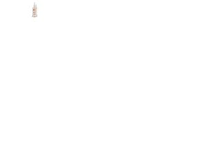 Payot Creme No 2 Serum 30ml