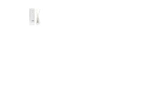 Millefiori Milano Zona Keemun 100 ml