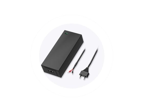 Teltonika - Strømforsyning - 2-stifts - AC 100-240 V - 62 watt - Europa - for Teltonika TSW200