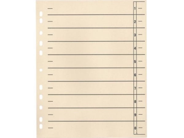 Soennecken skilleark 121009220 1554377 A4 190 g/m² - 100 stk