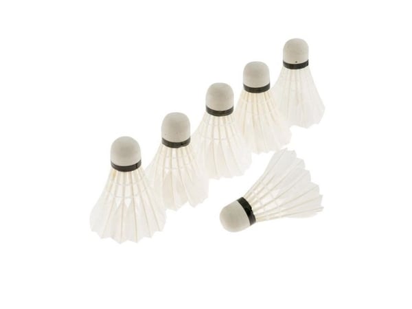 Welstar Feathered Badminton Shuttlecock Set W205