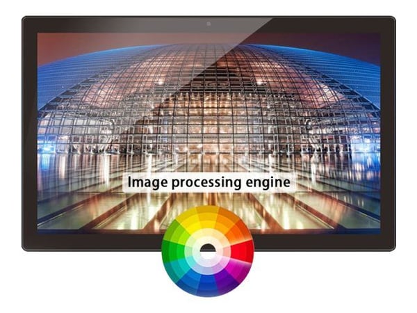 Braun DigiFrame 240 Business Line 60,96 cm (24,0")