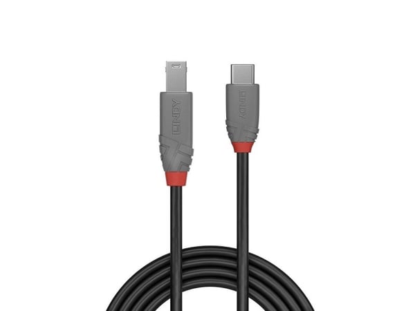 Lindy 36667, 2 m, USB C, USB B, USB 3.2 Gen 1 (3.1 Gen 1), 500 Mbit/s, Lajittelu