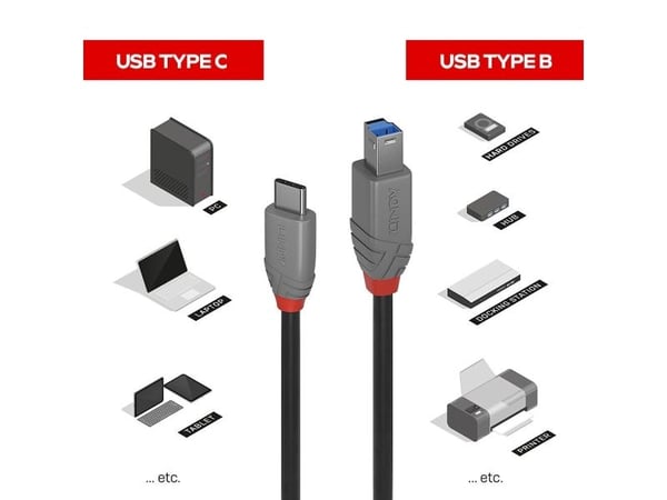 Lindy 36667, 2 m, USB C, USB B, USB 3.2 Gen 1 (3.1 Gen 1), 500 Mbit/s, Lajittelu
