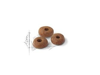 Royal Canin Feline Fit 2kg, Voksen, 2 kg