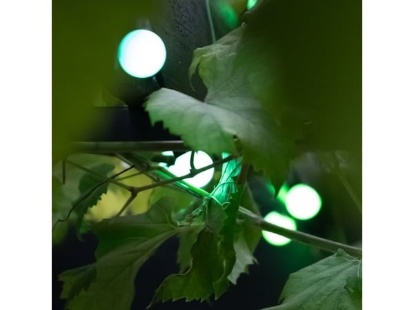 Smart belysningsslinga Lite Bulb Moments – Globe 3 cm