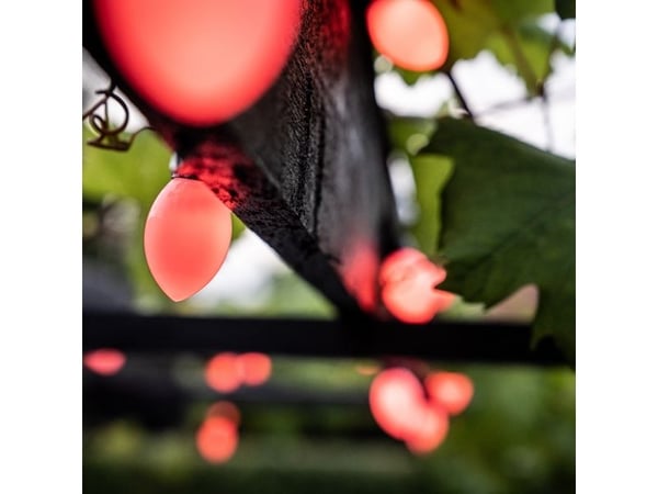 Lite bulb moments Smart ljusslinga - glob kon