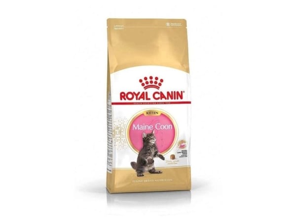 Royal Canin Maine Coon Kitten, Kattunge, Maine coon, Fjærfe, Ris, 400 g, Antioksidanter medfølger