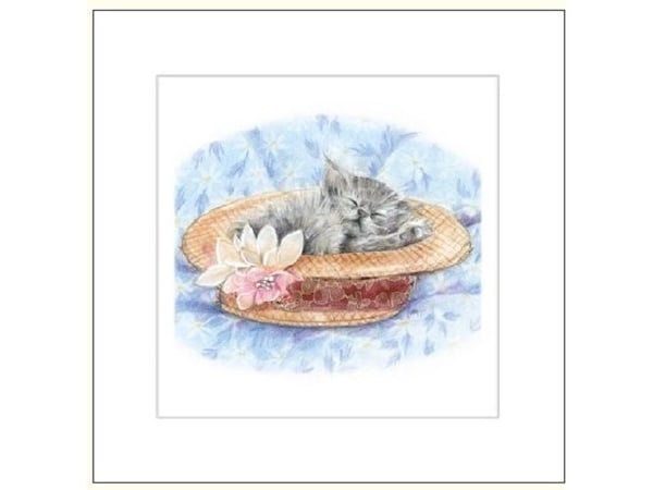 DA VINCI gratulasjonskort med katt i hatt, DaVinci 16x16 cm + konvolutt (G04 41G 052)