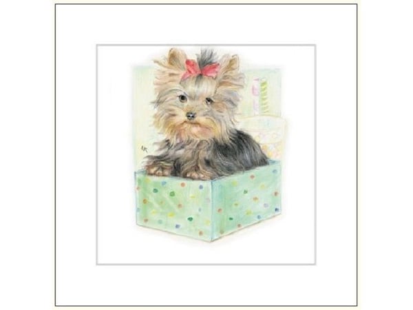 DaVinci kort Hund i en låda 16x16 cm + kuvert (G04 41G 055)