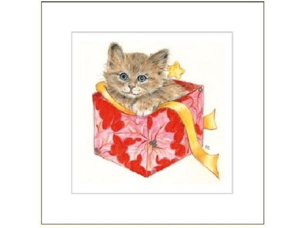 Da Vinci gratulationskort i fodral med kuvert DaVinci 16x16 cm + kuvert (G04 41G 054)