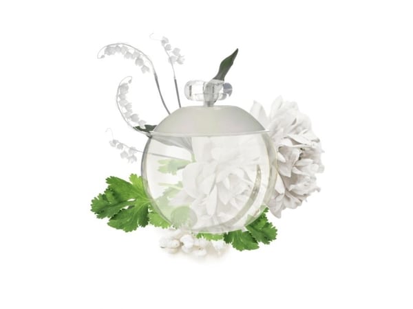 Cacharel Noa Eau De Toilette 30 ml (nainen)