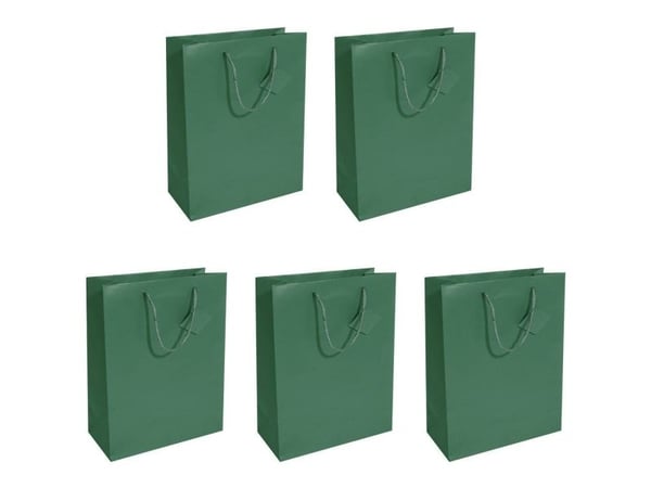 Sigel GT500, Gavepapirbag, Grønn, Monokromatisk, Papir, Matt, 157 g/m²