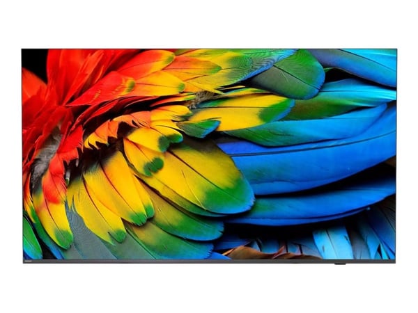 Philips 65HFL6214U - 65" Diagonalklasse Professional MediaSuite LED-bakgrunnsbelyst LCD TV - helsepleie / hotell - Smart TV - Android TV - 4K UHD (...