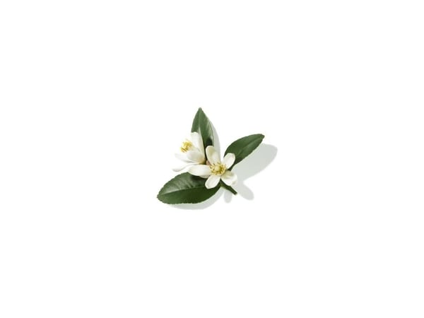 Lancome -  Poeme EDP 100 ml