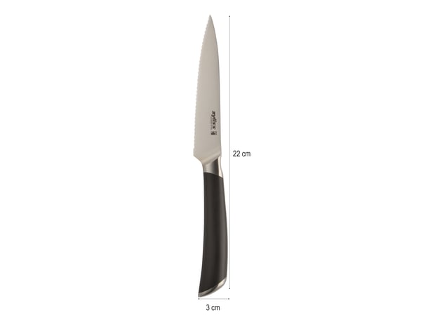 Zyliss E920276, Fruktkniv, 11,5 cm, Stål, 1 stykker