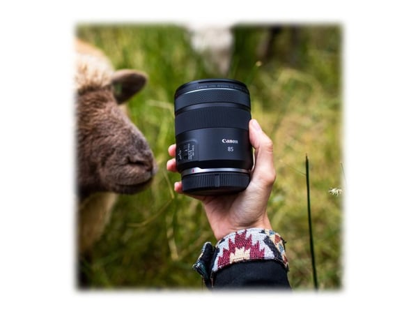 Canon RF - Telefoto objektiv - 85 mm - f/2.0 Macro IS STM - Canon RF - for EOS R3