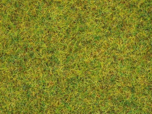 NOCH Scatter Grass “Summer Meadow”, Grön