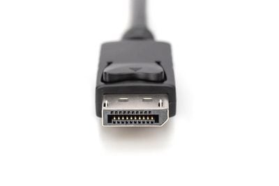 DIGITUS - Adapterkabel - DisplayPort hann til HDMI, USB (kun strøm) hann - 2 m - 4K 30Hz støtte