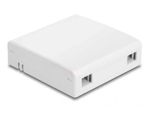 Delock - Fiberoptisk koblingsboks - veggmonterbar - hvit