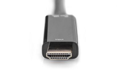 DIGITUS - Adapterkabel - HDMI hann til USB, DisplayPort - 20 cm - dobbeltisolert - svart - 2K-støtte, 4 K 30 Hz (3840 x 2160) støtte, 1920 x 1080 a...